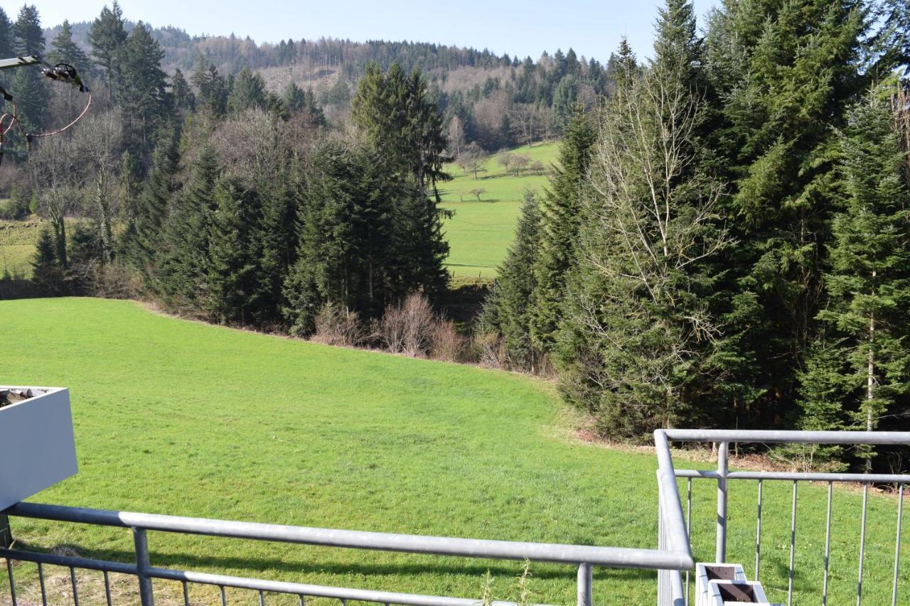 Ferienwohnung Im Dettenbachtal Waldkirch Ngoại thất bức ảnh