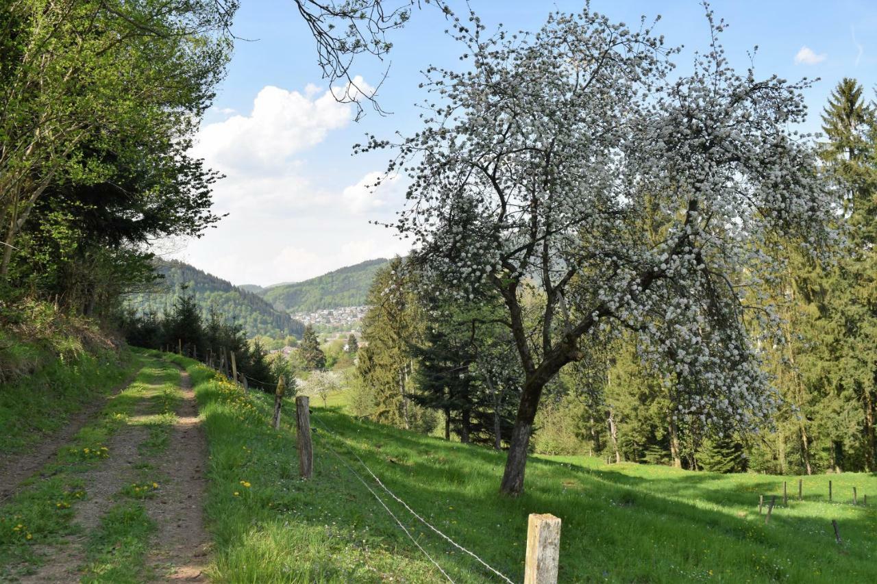 Ferienwohnung Im Dettenbachtal Waldkirch Ngoại thất bức ảnh
