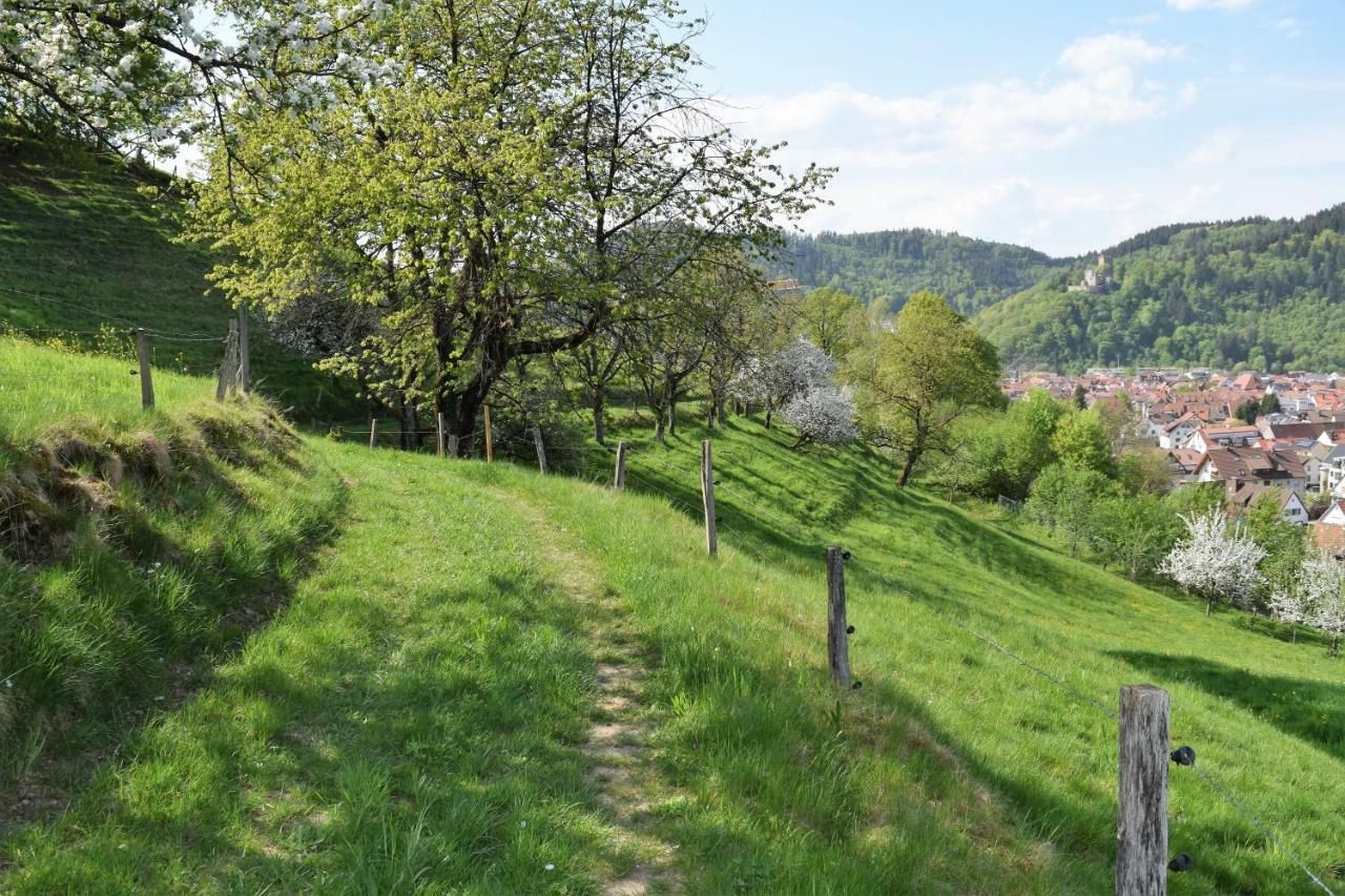Ferienwohnung Im Dettenbachtal Waldkirch Ngoại thất bức ảnh