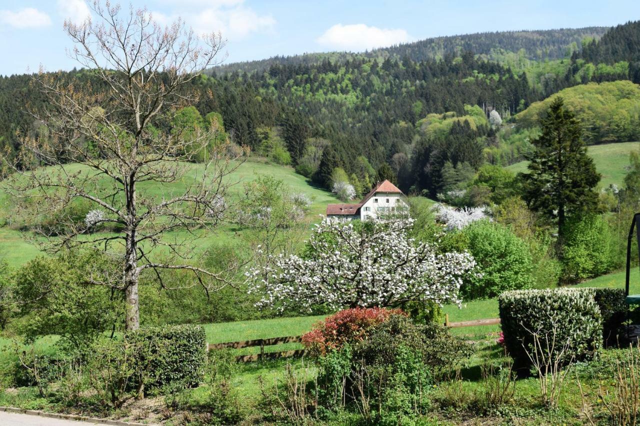 Ferienwohnung Im Dettenbachtal Waldkirch Ngoại thất bức ảnh